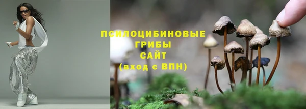 герыч Алзамай