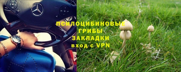 марки lsd Алексеевка