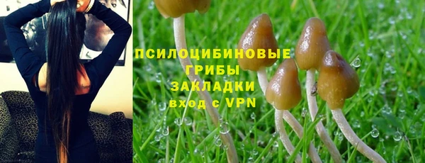 герыч Алзамай