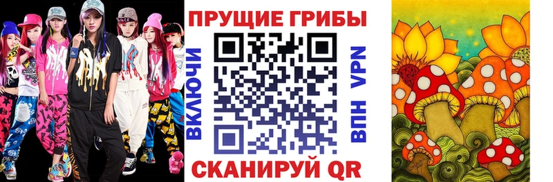 Псилоцибиновые грибы Psilocybine cubensis закладки Ярцево